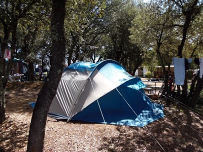 Nature Package without electricity (1 tent, caravan or motorhome / 1 car) — 3