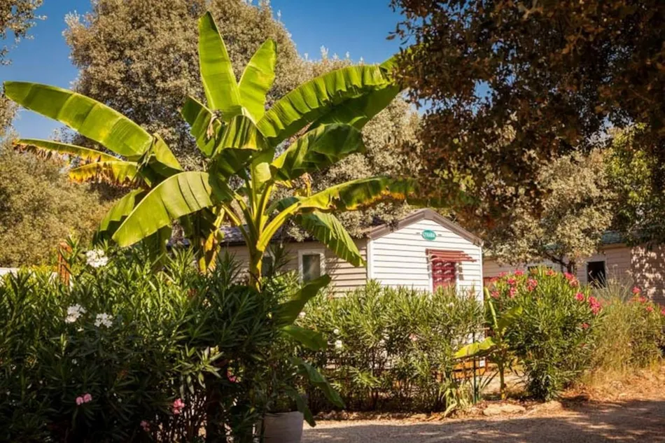 Camping Domaine de Gajan