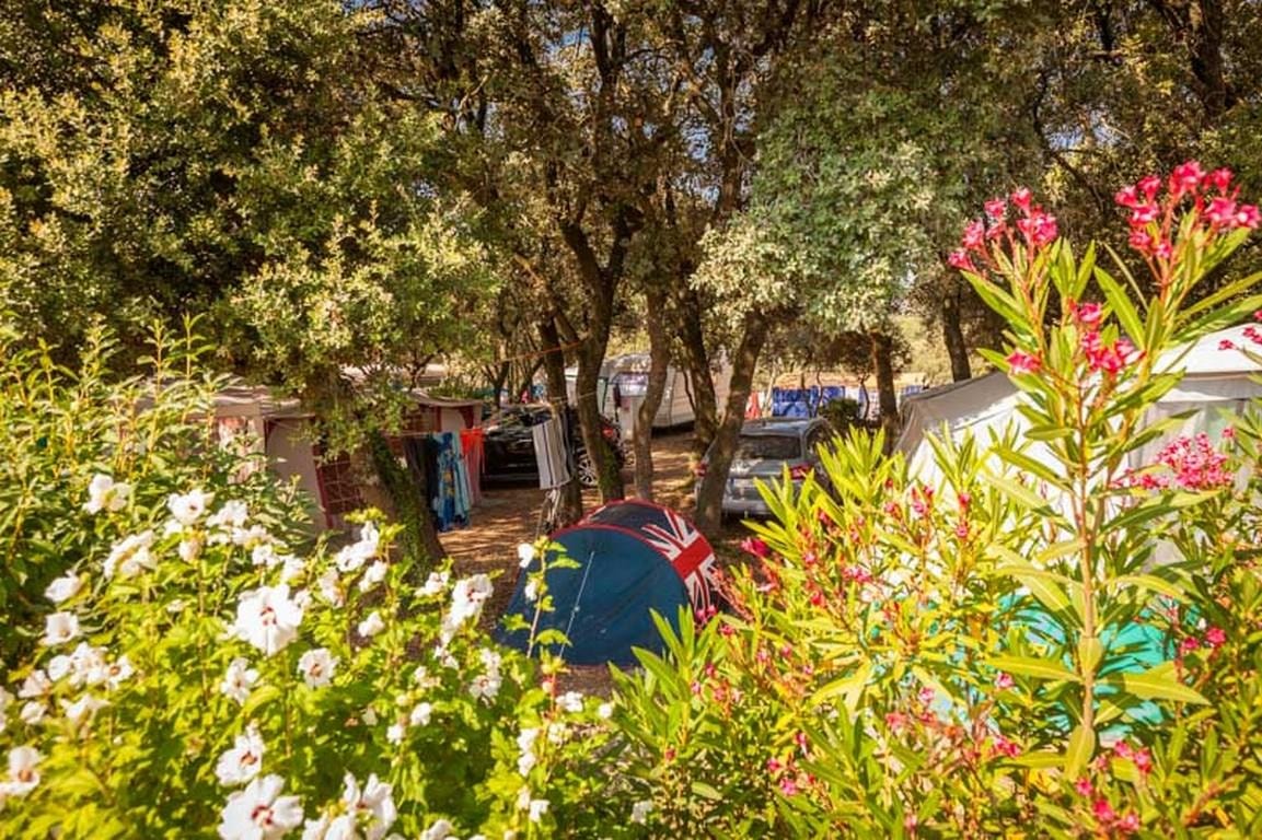 Camping Domaine de Gajan — Photo 9