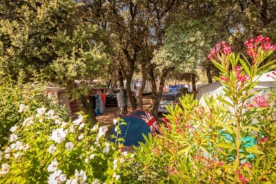 Camping Domaine de Gajan