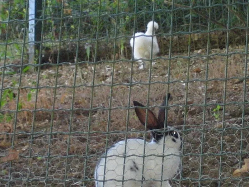 Domaine le Castagné