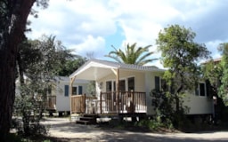 Mietunterkunft - Cottage Mediterranee 30M² / 2 Schlafzimmer - Terrasse 8M² - Camping de la Treille