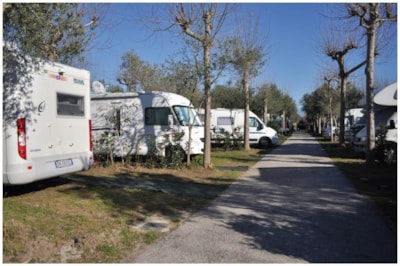 STANDART Pitc Caravan + Car + Electricity 3A — 4