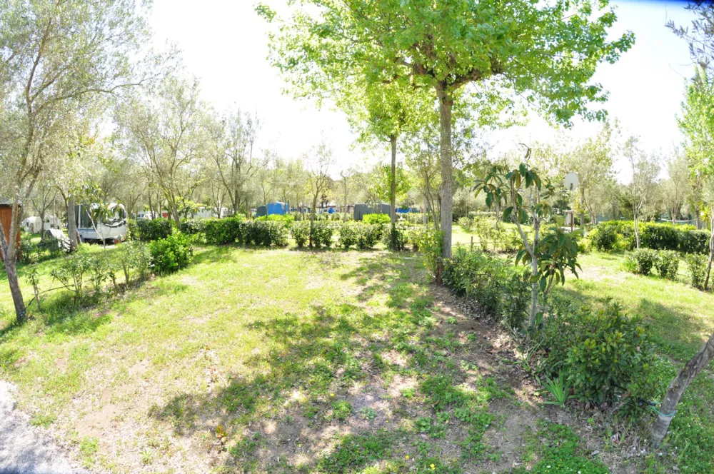 Emplacement - Standart Emplacement Caravane + Voiture + Electricité 3A - Campeggio Villaggio Paestum