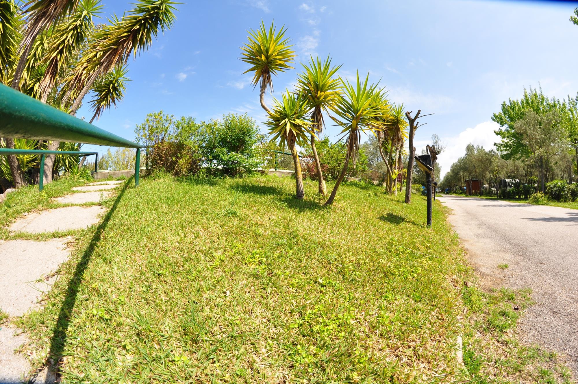 Campeggio Villaggio Paestum — Photo 4