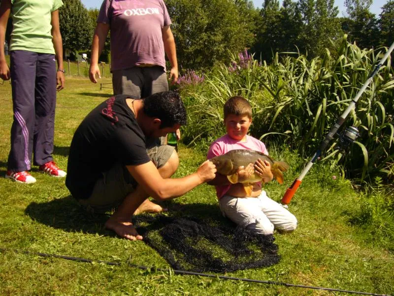 Camping de Montréal