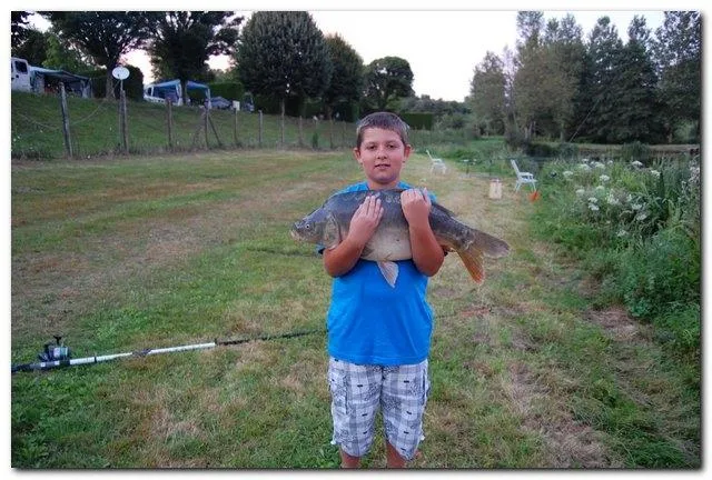 Camping de Montréal