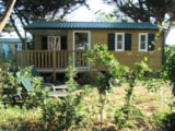 Chalet Confort Evasion Chalet Confort Evasion