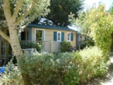 Chalet Confort Luxe Chalet Confort Luxe