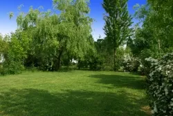 Emplacement Nu + Électricité 10 A