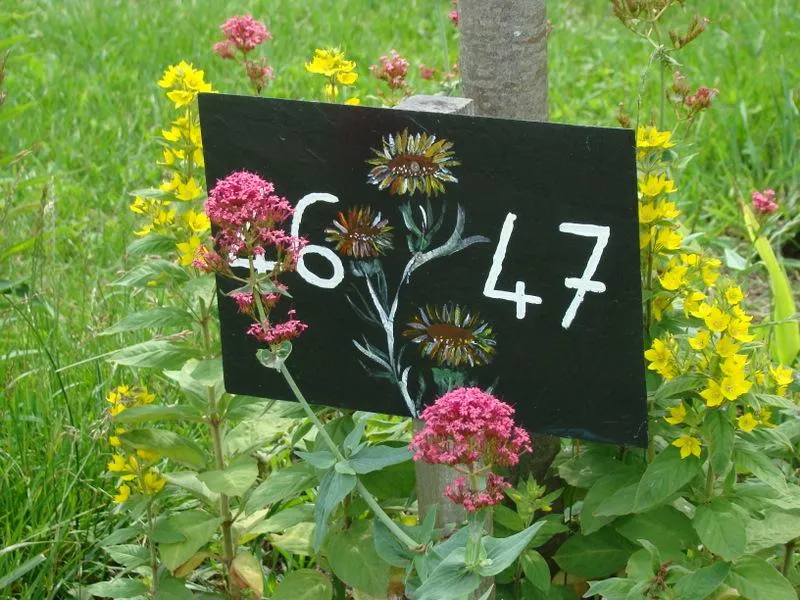 Camping La Fontaine du Hallate en Morbihan