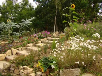 Camping La Fontaine du Hallate en Morbihan - image n°3 - Camping Direct