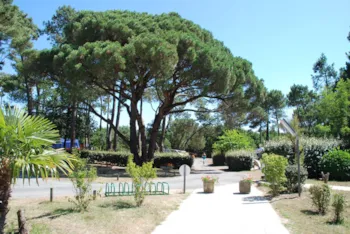 Stellplatz - Confort Pauschale: Stellplatz + Fahrzeug + Strom + Wasser - Camping Marvilla Parks - La Clairière