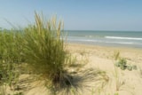 Foto #40 van Plein Air Locations – Camping Les Genêts