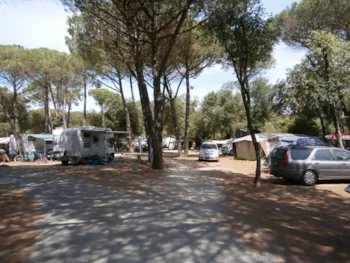 Stellplatz - Pauschale: Stellplatz + Auto + Zelt Oder Wohnwagen - Camping Marvilla Parks - La Grainetière