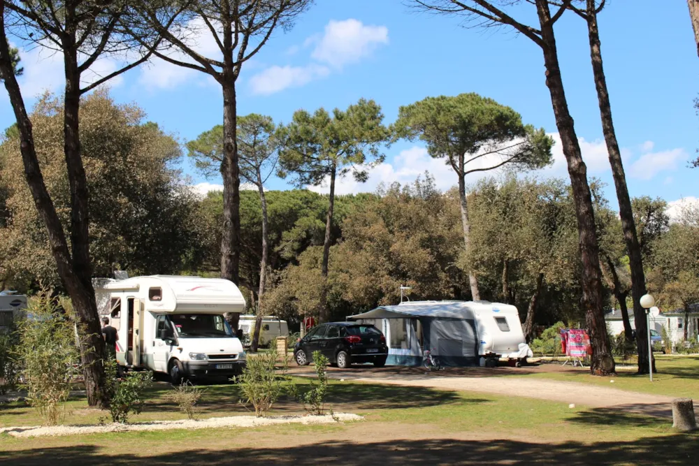 Camping Marvilla Parks - La Grainetière