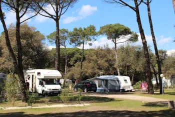 Camping Marvilla Parks - La Grainetière - image n°3 - Camping Direct