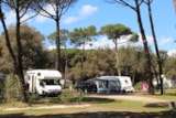 Foto #3 van Camping Homair – La Grainetière