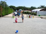 Foto #27 van Camping Homair – La Grainetière