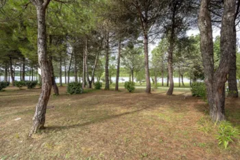 Stellplatz - Stellplatz Confort Große Größe - Camping Le Lac de Thoux