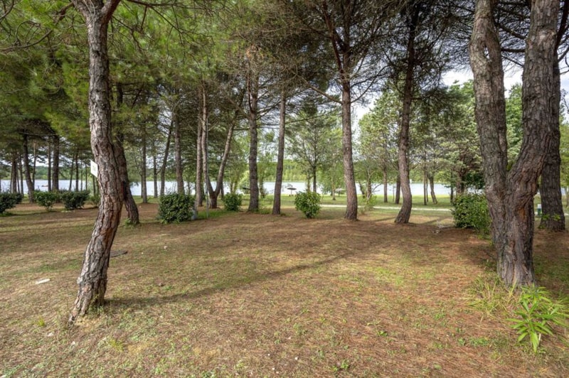 Komfort-Stellplatz, große Größe