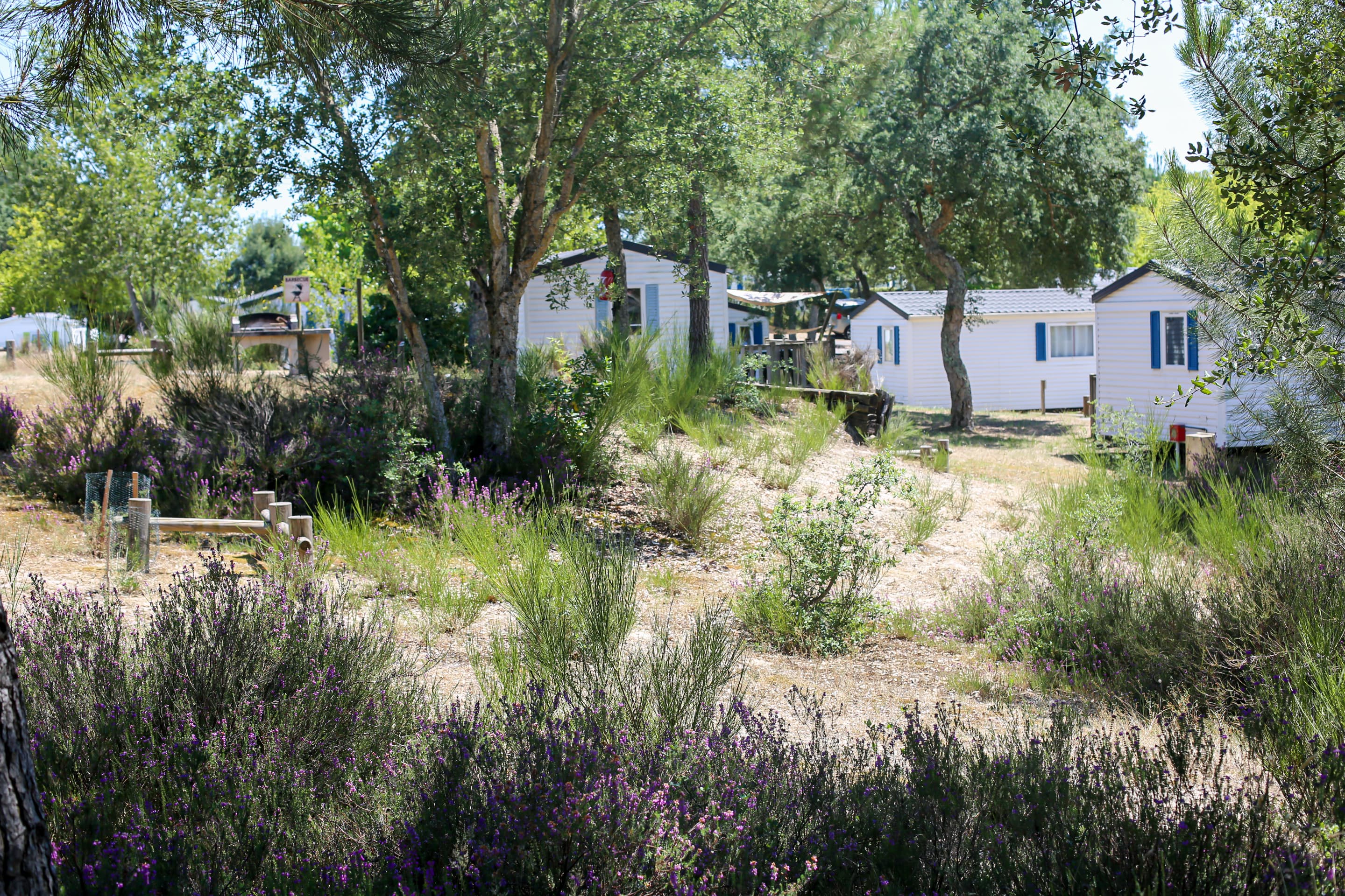 Location - Mobilhome Standard - Camping Nature L'Airial