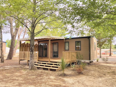 Cottage Premium 3 bedroom