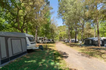 Stellplatz - Pauschale: Stellplatz + Auto + Zelt Oder Wohnwagen + Strom - Camping Nature L'Airial****