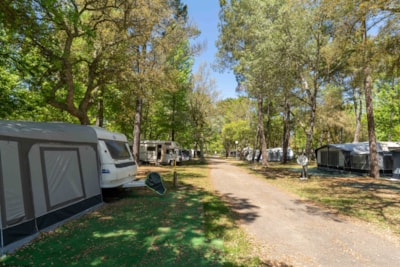 Package: Pitch + car + tent or caravan + electricity