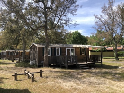 Authentic - 3 bedrooms