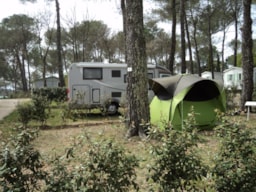Stellplatz - Stellplatz Confort (Zelt, Wohnwagen, Wohnmobil / 1 Auto / Strom 10A) - Camping Le Provençal