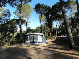 Camping Le Provençal - image n°3 - Roulottes