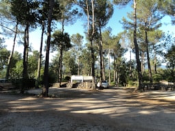 Camping Le Provençal - image n°2 - Roulottes
