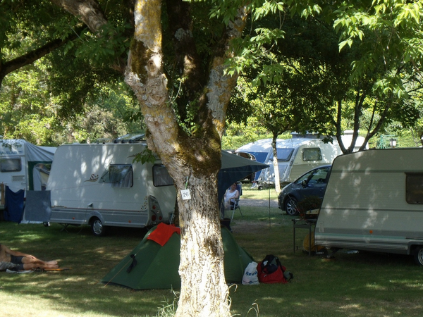 Sind Hunde auf Onlycamp de l'Argenté erlaubt? photo 3