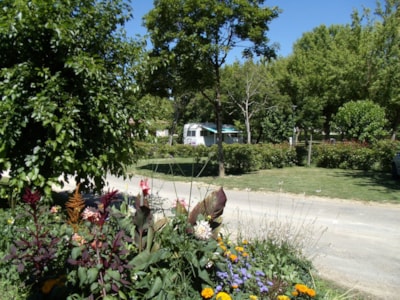 Camping Onlycamp de l'Argenté
