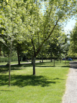 Foto #7 van Camping Onlycamp de l’Argenté