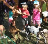 Emplacement - Forfait Emplacement Cycliste - image n°7 - Camping le Grand Cerf