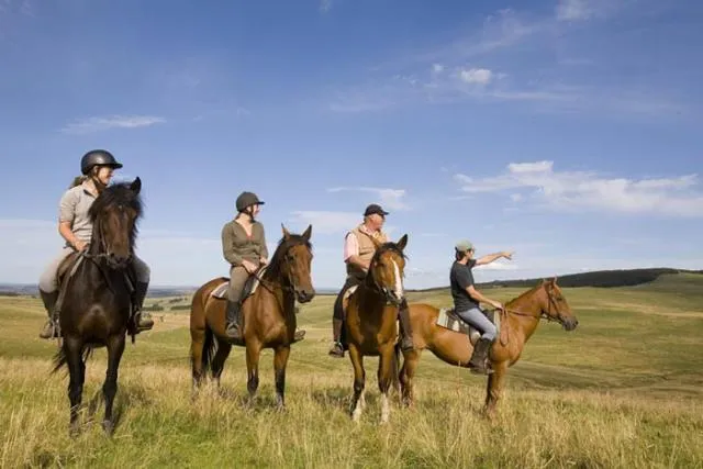 Camping le Grand Cerf