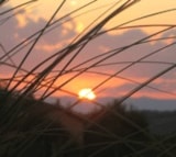 Foto #42 van Camping le Grand Cerf