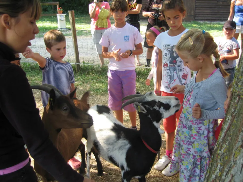 Camping le Grand Cerf