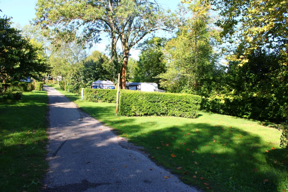 Camping le Grand Cerf - image n°2 - RhoneAlpes