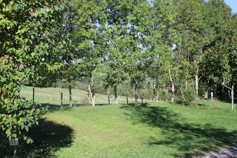 Forfait Emplacement Confort Avec Électricité 10A (Pour Tentes, Cavaranes Et Camping-Cars)