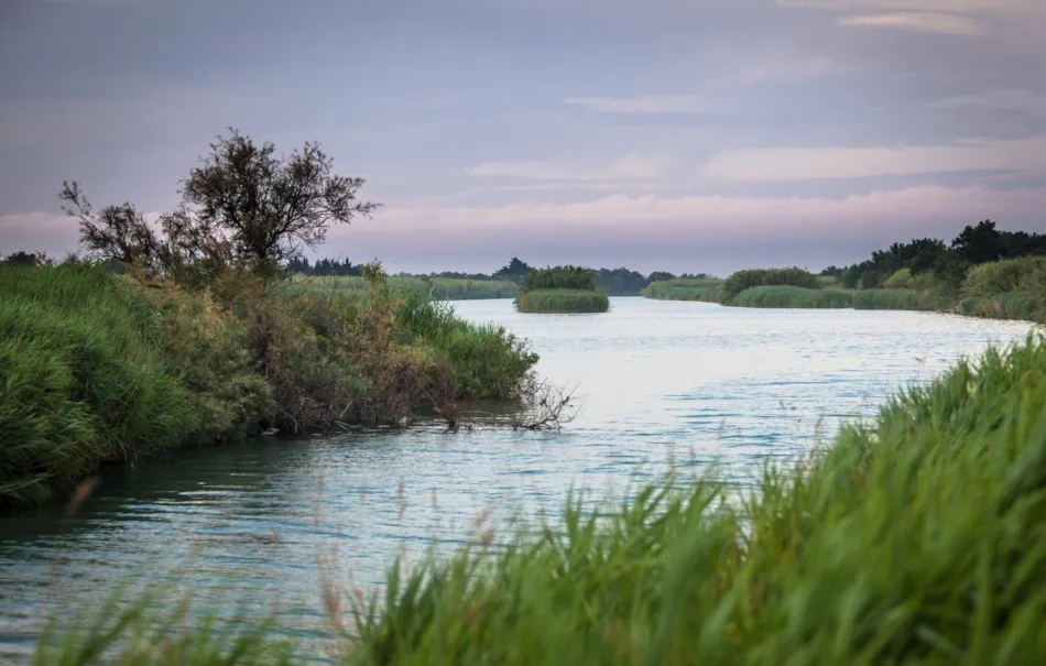Camping-Village le Floride & l'Embouchure