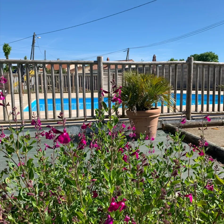 Camping du Petit Pont