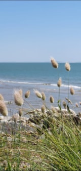 Foto #21 van Camping du Petit Pont