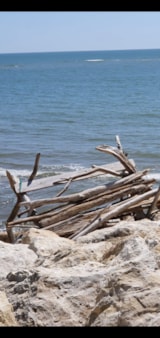 Foto #22 van Camping du Petit Pont