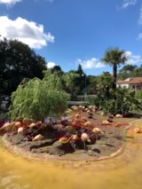 Foto #60 van Camping du Petit Pont