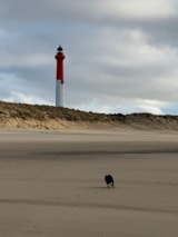 Foto #66 van Camping du Petit Pont