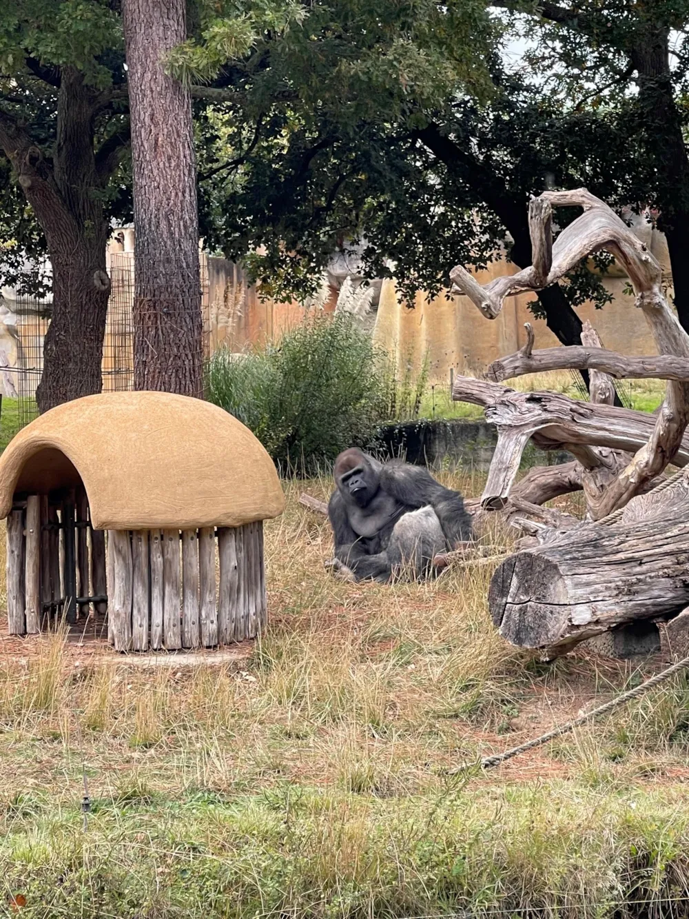 Camping du Petit Pont - image n°57 - UniversalBooking