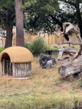 Foto #61 van Camping du Petit Pont